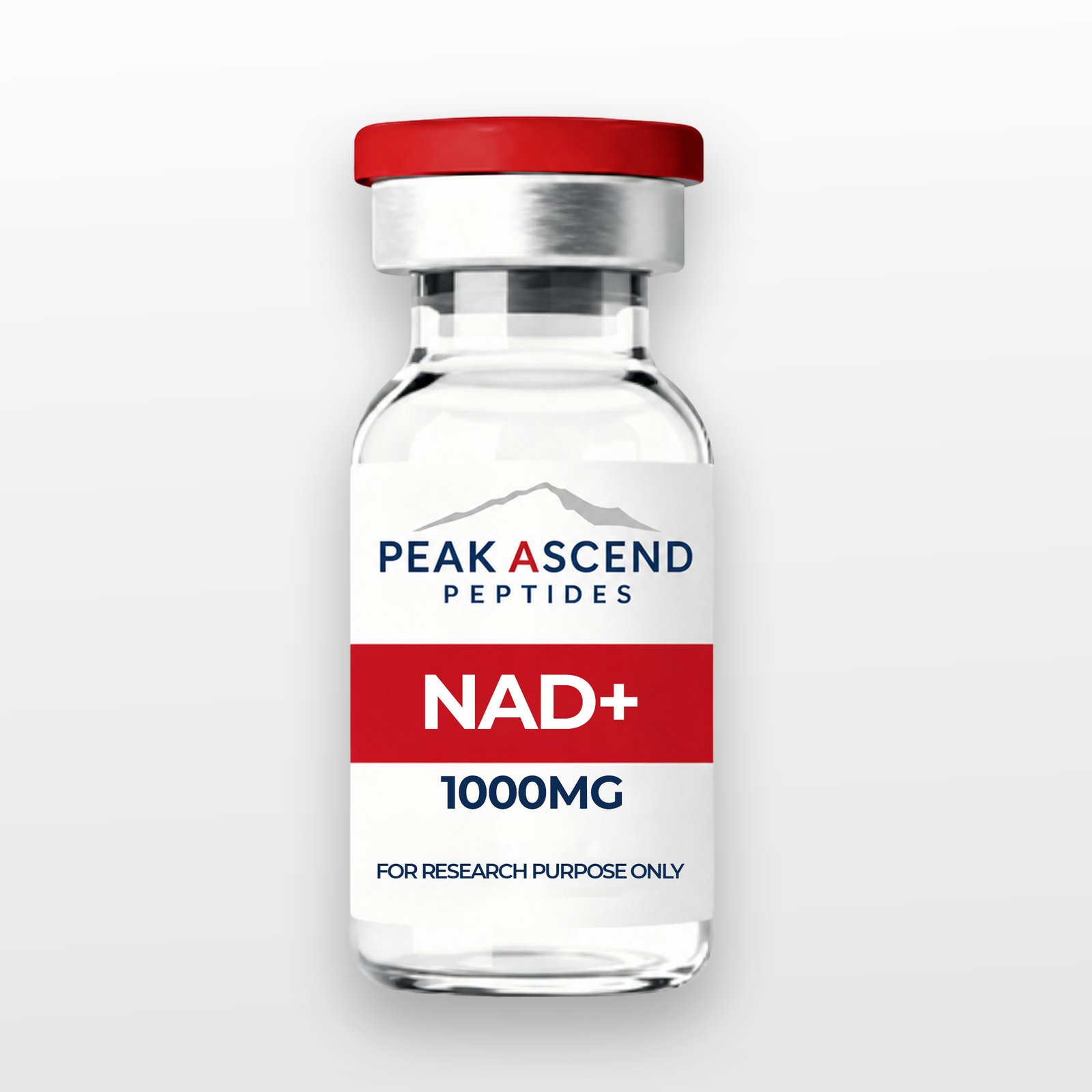 NAD+ - Image 2
